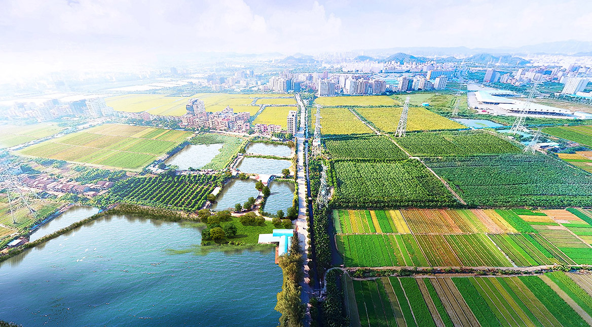 促進現代農業(yè)產業(yè)園良性發(fā)展的對策